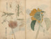 schetsboek Pl048 - Ariyoshi Kondo — weergave van het kunstwerk