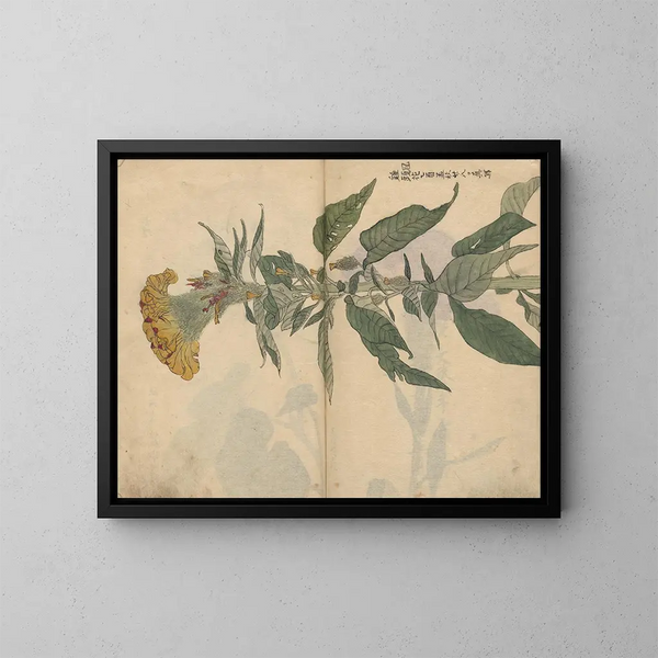 Sketchbook Pl049 - Ariyoshi Kondo — framed artwork on a wall