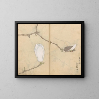 Ariyoshi Kondo - Sketchbook Pl051.webp