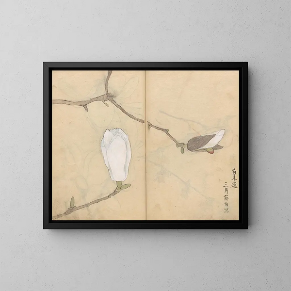 Sketchbook Pl051 - Ariyoshi Kondo — framed artwork on a wall