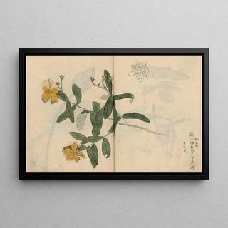 Ariyoshi Kondo - Sketchbook Pl052.webp