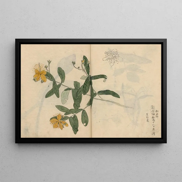 Ariyoshi Kondo - Sketchbook Pl052.webp