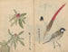 schetsboek Pl053 - Ariyoshi Kondo — weergave van het kunstwerk