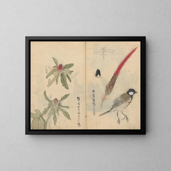 Sketchbook Pl053 - Ariyoshi Kondo — framed artwork on a wall
