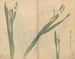 schetsboek Pl058 - Ariyoshi Kondo — weergave van het kunstwerk