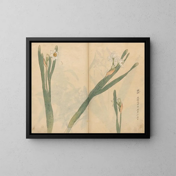 Sketchbook Pl058 - Ariyoshi Kondo — framed artwork on a wall