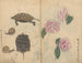 schetsboek Pl060 - Ariyoshi Kondo — weergave van het kunstwerk