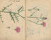 schetsboek Pl062 - Ariyoshi Kondo — weergave van het kunstwerk