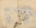 schetsboek Pl063 - Ariyoshi Kondo — weergave van het kunstwerk