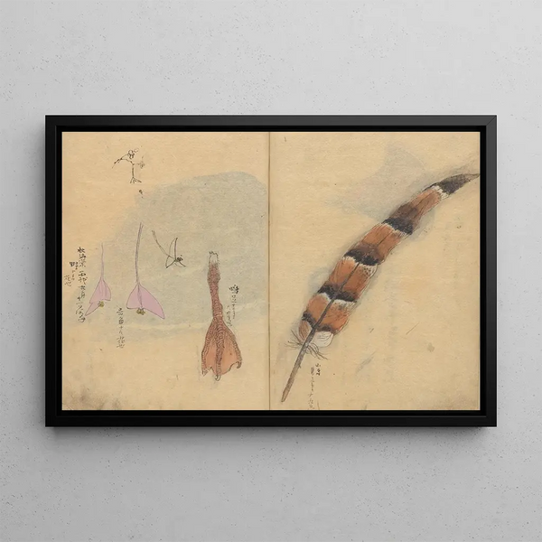 Sketchbook Pl065 - Ariyoshi Kondo — framed artwork on a wall