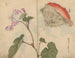 schetsboek Pl066 - Ariyoshi Kondo — weergave van het kunstwerk