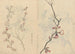 Schetsboek Pl067 - Ariyoshi Kondo — weergave van het kunstwerk
