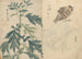 schetsboek Pl070 - Ariyoshi Kondo — weergave van het kunstwerk