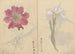 schetsboek Pl071 - Ariyoshi Kondo — weergave van het kunstwerk