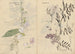 schetsboek Pl072 - Ariyoshi Kondo — weergave van het kunstwerk
