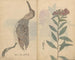 schetsboek Pl074 - Ariyoshi Kondo — weergave van het kunstwerk