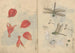 schetsboek Pl076 - Ariyoshi Kondo — weergave van het kunstwerk
