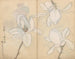 schetsboek Pl077 - Ariyoshi Kondo — weergave van het kunstwerk