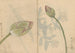 schetsboek Pl078 - Ariyoshi Kondo — weergave van het kunstwerk