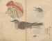 Carnet de croquis Pl081 - Ariyoshi Kondo — weergave van het kunstwerk