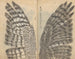 schetsboek Pl082 - Ariyoshi Kondo — weergave van het kunstwerk