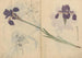 Schetsboek Pl085 - Ariyoshi Kondo — weergave van het kunstwerk