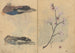 Schetsboek Pl086 - Ariyoshi Kondo — weergave van het kunstwerk