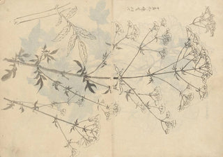 Ariyoshi Kondo - Sketchbook Pl087.webp
