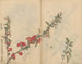 Carnet de croquis Pl090 - Ariyoshi Kondo — weergave van het kunstwerk
