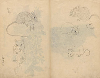 schetsboek Pl092 - Ariyoshi Kondo — weergave van het kunstwerk