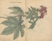 schetsboek Pl095 - Ariyoshi Kondo — weergave van het kunstwerk