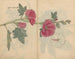schetsboek Pl097 - Ariyoshi Kondo — weergave van het kunstwerk