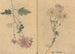 Carnet de croquis Pl098 - Ariyoshi Kondo — weergave van het kunstwerk