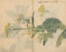 Carnet de croquis Pl099 - Ariyoshi Kondo — weergave van het kunstwerk