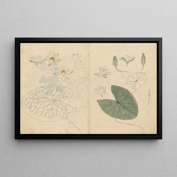 Ariyoshi Kondo - Sketchbook Pl100.webp