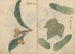 schetsboek Pl101 - Ariyoshi Kondo — weergave van het kunstwerk