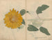schetsboek Pl103 - Ariyoshi Kondo — weergave van het kunstwerk