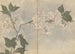 schetsboek Pl105 - Ariyoshi Kondo — weergave van het kunstwerk