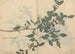 Schetsboek Pl109 - Ariyoshi Kondo — weergave van het kunstwerk