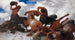 Bataille du Centaure - Arnold Böcklin — weergave van het kunstwerk