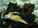 Diane endormie surveillée par deux faunes - Arnold Böcklin — weergave van het kunstwerk