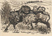 Cows in a Field - Arnold Peter Weisz-Kubínčan — artwork view