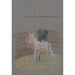 Sketch of a horse in a riding school - Arnold Peter Weisz-Kubínčan — artwork view