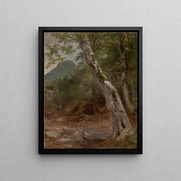 a sycamore tree in Kaaterskill Clove by Asher Brown Durand — framed artwork on a wall
