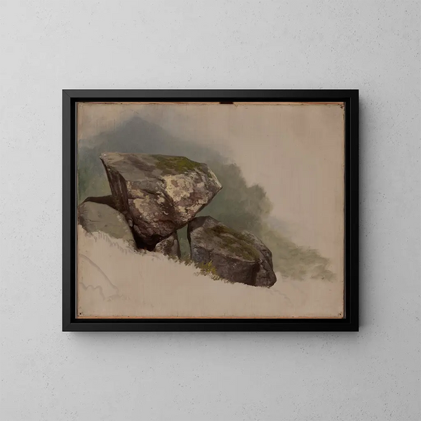 Study of a Rock - Asher Brown Durand — framed artwork on a wall
