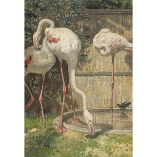 August Alleb - Three Flamingos near a Basin.webp