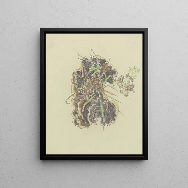 Study of Plants - August Babberger — framed artwork on a wall