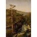 Reproduction of the painting Landscape rocky with pines - August Cappelen
