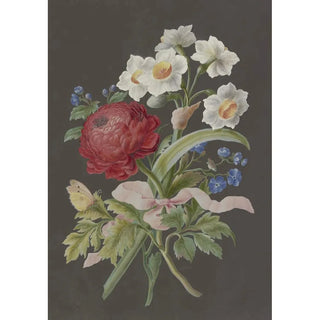 Barbara Regina Dietzsch - Blumengebinde mit roter Ranunkel Ranunculus weier Tazette Narcissus tazetta und blauer Blume mit Postillon.webp