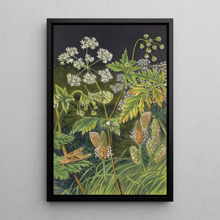 Barret And Sons - Butterflies And Moths In Disguise At Rest.webp